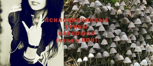 spice Бугульма