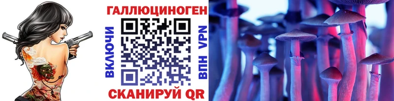 купить наркотики цена  Вязьма  Псилоцибиновые грибы Psilocybe 