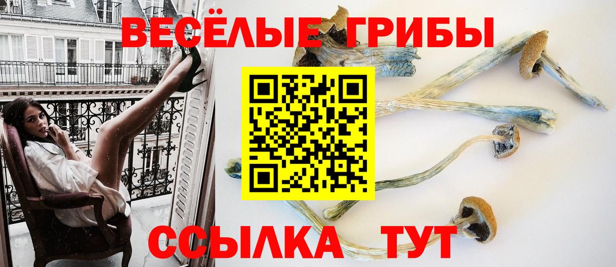 Вязьма  Галлюциногенные грибы GOLDEN TEACHER  Вход с VPN  Псилоцибиновые грибы Psilocybe 