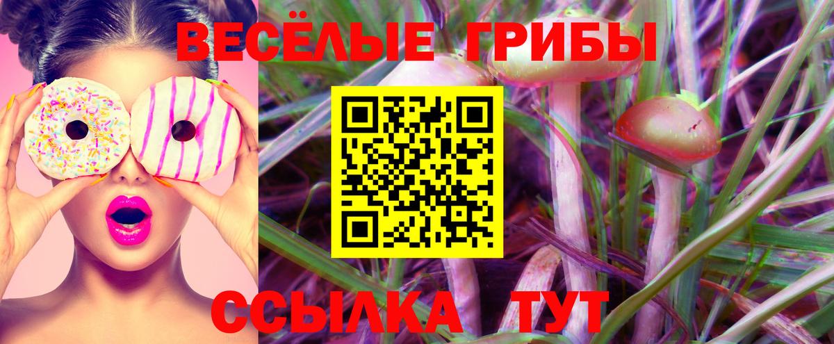 Псилоцибиновые грибы GOLDEN TEACHER Вязьма